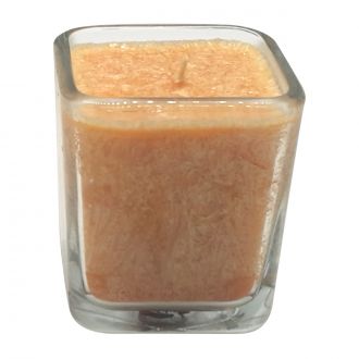 Spa Tumbler - Raspberry Pie