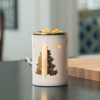 Golden Fir