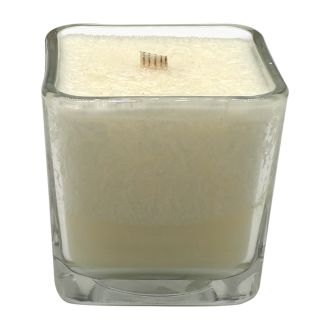 Roc Tumbler Candle- Snow Day