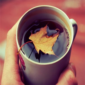 Autumn is Upon Us - Tea Flavors of the Season