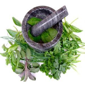 How To Make Herbal Cream